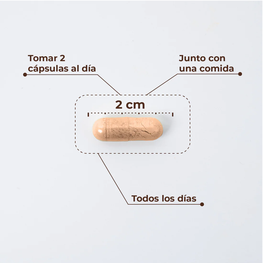 KOBHO W-BALANCE 60CAPSULAS - Imagen 2